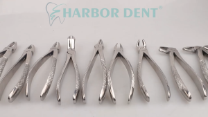 Tooth Extraction Forcep Kit Stainless Steel Dental Forceps 10pcs/Set Dental Tools