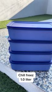 ภาชนะบรรจุอาหาร Tupperware Chill Freez Medium High ราคาต่อ 1ใบ - Lazada