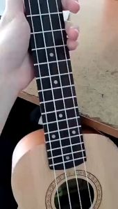 Gitar Akustik Ukulele Senar 4 Capo Guitar Gitar Ukulele Gitar Mini Gitar Klasik Guitar Akustik