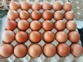 Telur Ayam Negeri Fresh / Telor Ayam Negeri Fresh 30 butir. 