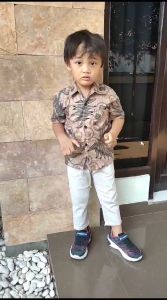 Batik Baraya - Baju Batik Anak Cowok usia 1 - 12 Tahun / Kemeja Batik Anak Laki laki Motif Manggar Abu
