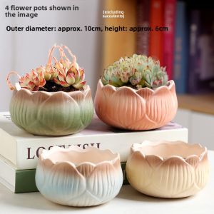 Simplified Ceramic Terracotta Plant Pots for Succulents Breathable Thumb Pots Home Decorative Garden Planters Creative Sizes