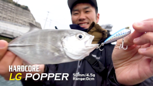 DUEL - HARDCORE 50mm F1203 LG POPPER FLOATING FISHING LURES