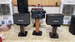 Bộ Karaoke Gia Đình Amply Jarguar 203III 12 Sò Và Đôi Loa Bmb 450V Bass 25 Từ Kép Tặng 10M Dây Loa - H2pro