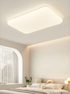 DGY | Warm Minimalist Scandinavian Ceiling Light for Living Room and Bedroom
