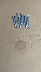 10 BIJI PAKU BETON TEMBOK 5CM PUTIH PANJANG 2 INCH