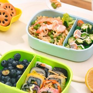 Tempat Makan Anak Sekolah 2 Sekat Set Dengan Sendok Food Grade