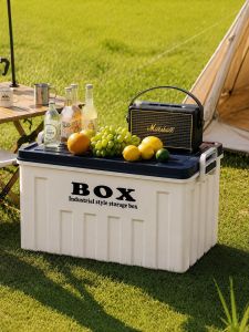 MEIZHUFU | Large Capacity Car Trunk Use Plastic Storage Box