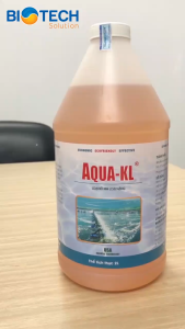 Aqua KL Vi sinh xử lý phèn hạ phèn khử kim loại nặng trong ao nuôi tôm nuôi thủy sản chai 2 lít