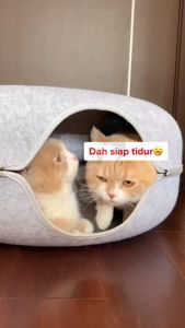 EZPET Mainan Kucing Terowong Tempat Tidur Kucing Cat Tunnel Donut Toy Scratcher Cat Bed Nest for Cats Dogs Pets Fun Teaser Cat Toy Tunnel Donut Cat Bed 猫隧道 猫玩具 猫抓窝