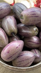 Buah pepino/put 2 kg Ungu termurah