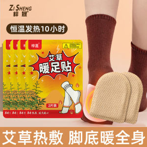 Foot Warmer Warmed Insole Insole Foot Warmer Self-Heating Heattech Foot Mat Mens and Womens Soles Heating Pad Winter Fantastic Foot Warming Appliance