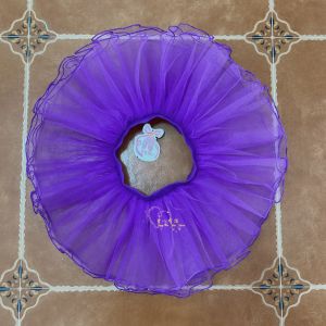 Váy Biểu Diễn Khiêu Vũ Ballet Cho Trẻ Em Váy Nửa Thân Cho Bé Gái Quần Áo Tập Luyện Khiêu Vũ Cho Trẻ Em Váy Xếp Ly Cho Bé Gái