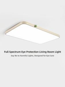 DGY | Eye-Protecting Minimalist Design Ceiling Light