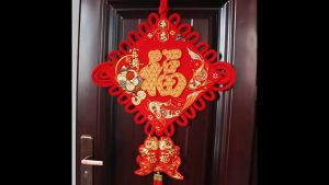 2025 New Year Chinese Knot Fortune Good Luck Spring Festival New Year Wealth Pendant Living Room Decoration