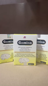Viên uống Bổ Não Gamina - Cung cấp dưỡng chất cho não bộ hỗ trợ cải thiện trí nhớ tăng sự tập trung (30 viên)