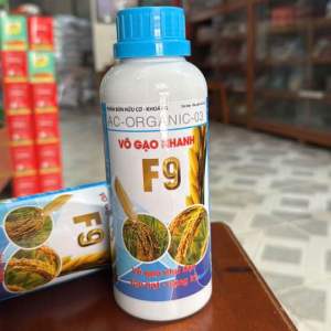 VÔ GẠO NHANH F9 của GLOBAL FRAM (500ml)