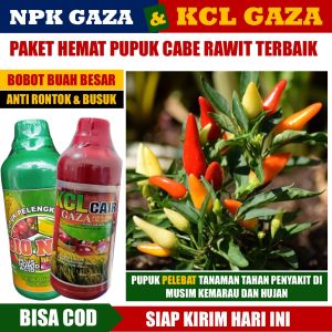 PAKET HEMAT Isi 2 BOTOL NPK GAZA & KCL GAZA Pupuk Cair Pelebat Buah Cabe - Pupuk NPK Cair Dan Pupuk Kalsium Organik Cair Untuk Cabe Pupuk Untuk Tanaman Cabe Rawit Domba Cabe Keriting - Pupuk Buah Daun Untuk Cabe Booster NPK GAZA & KCL GAZA