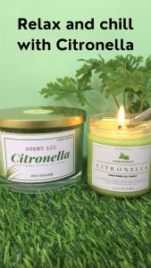 CITRONELLA Premium Soy Wax Candle Best Seller 500 Grams 200grams / Scent 101