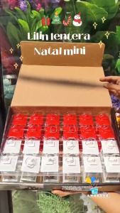 lentera lilin natal mini / Lampu Lentera Lilin Led Natal / Hiasan Natal Souvenir Christmas lentera 9 cm / hampers natal kado / aksesoris hiasan natal