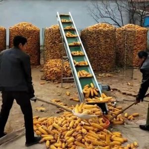 Corn Cob For Home Small Conveyor Belt Particle Bulk Material Skirt Conveyor Belt Customization