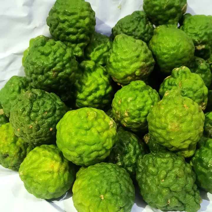 Jeruk%20Purut%20Jantan%201%20Kg%20-%20Image%206
