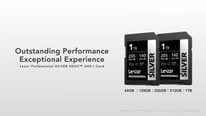 Lexar 256GB SDXC Professional Silver (205MB/s)