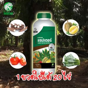 อะมิโนพืช บำรุงต้นพืช รากแตก แตกยอด 1 ลิตร ผลดก ผลใหญ่ เพิ่มน้ำหนัก ทนโรค ทนแล้ง แรปเตอร์