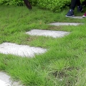 Elderly Shoes for Swollen Feet Mens Dad Shoes Hemiplegia and Gout Wide Walking Shoes Spring Soft Sole Non-Slip Shoes for Middle-Aged and Elderly