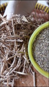 Adas Pulowaras Grade A: Pilihan Terbaik untuk Anda