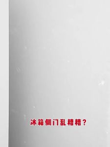 Nexlent Refrigerator Food Classification Storage Box Freezer Side Door Storage Box Kitchen Food Storage