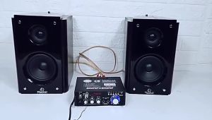 Power Amplifier Stereo Bluetooth FLECO BT-298A 600W | Amplifier Bluetooth Karaoke Home Theater Full Bass Suara Surround 2MIC FM USB SD MP3 Remote Kontrol | Gallery Audio