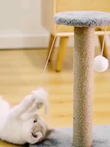 TRENY Cat Scratcher Poles Tree Cat Toy Cat Scratch Cat Tree Scratcher Post Play Bed Toy Mainan Kucing Scratcher 猫爬架