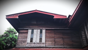 Timberguard Multipurpose Wood Protector Brown 4L - Anti-Insect & Wood Rot Treatment