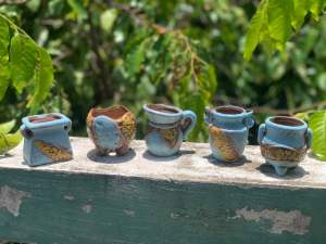 Combo 5 chậu trồng câu sen đá/xương rồng/bonsai kiểu Aladdin/Mini Pot