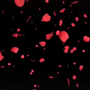 1000Pcs Kelopak Bunga Mawar Palsu (Rose Petals) Bunga Artificial Dekorasi Wedding/Party/Proposal