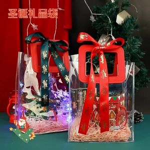 Túi xách tay  trong suốt PVC quai da cầm tay cao cấp