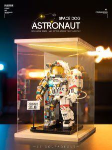 Educational Assembly Toy Blocks Gift for Boys Ages 6 And above Childrens Day Astronaut Model Building Blocks Plastic Toys