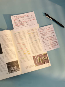 Study Aid Extension Post-it Note Minimalist Ins Sticky Notes