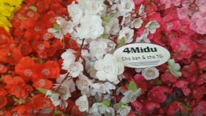 Combo 5 -10 Cành hoa mai cành hoa anh đào dài 1 mét giá sỉ 100 cành phụ kiện trang trí Tết