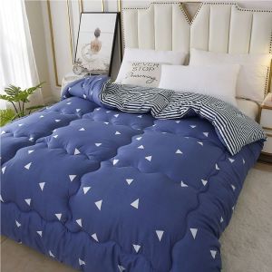 Thick Warm Quilt For Winter and Spring Use