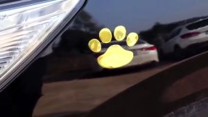 🍁𝐅𝐑𝐄𝐄𝐒𝐇𝐈𝐏🍁 Bộ 2 Tem Dấu Chân 3D Trang Trí Ô Tô