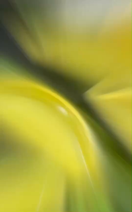 DEDEEกล่องขนมทรงกล้วย+สายคาด กล่องกล้วยมูสเค้กเย็น กล่องเค้กกล้วยหอม