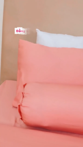 Vỏ gối Ôm Lụa Tencel Lyocell Chavina Bedding Size 35x100 cm cao cấp màu trơn bao gối ôm có khoá kéo tiện lợi
