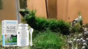 50g Algae Remover powder with Spoon for Pond Aquarium accessories