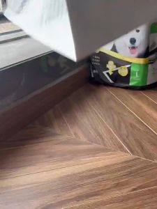 Charcoal Absorbent Pet Diaper Antibacterial Deodorizing Pee Pads Dogs Cats Training Diaper