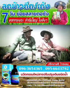 บีซอยล์พลัส สารปรับปรุงดินชนิดน้ำเข้มข้น ขนาด 500cc ฟื้นฟูดินเสื่อมสภาพ เร่งราก–เพิ่มอินทรียวัตถุ ครอบคลุมพื้นที่สูงสุด 10 ไร่