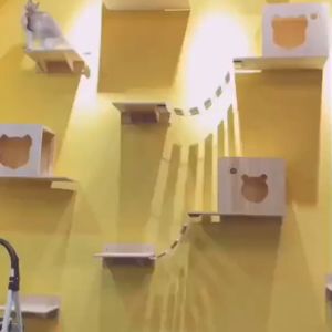 Cat Wall Mounted Climbing Frame Ladder Cat Furniture Cat Nest DIY Cat Toy Cat House Cat Playground Wall