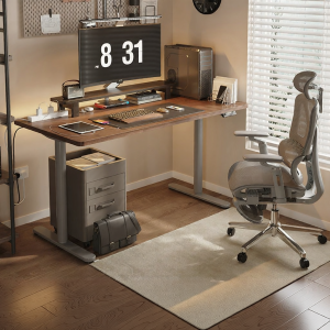 Loctek | Smart Electric Adjustable Desk