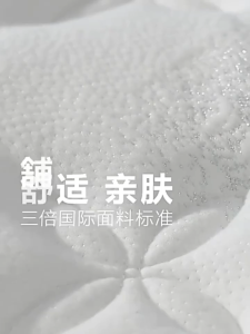 🇸🇬Koala Home🔥Mattress memory 30cm foam mattress latex independent silent pocket spring